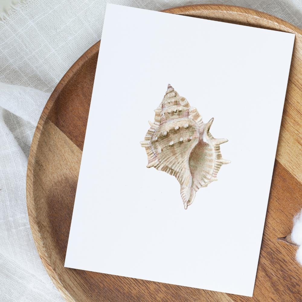 Beige Watercolor Seashell Prints: Coastal Minimalist Wall Art, 5 x 7 printed + shipped