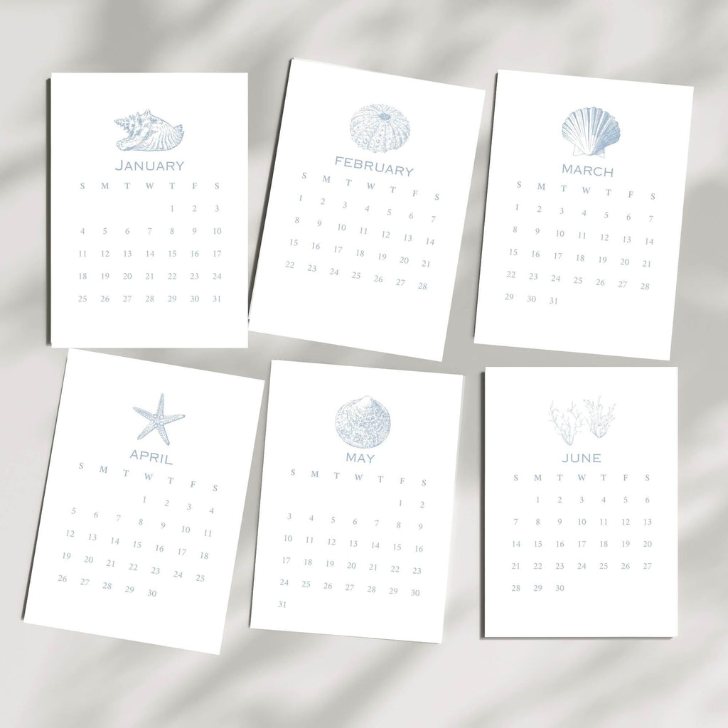 2026 Desktop Calendar, Beach Decor, Coastal Blue Shell Calendar, 5 x 7, Printed & Shipped