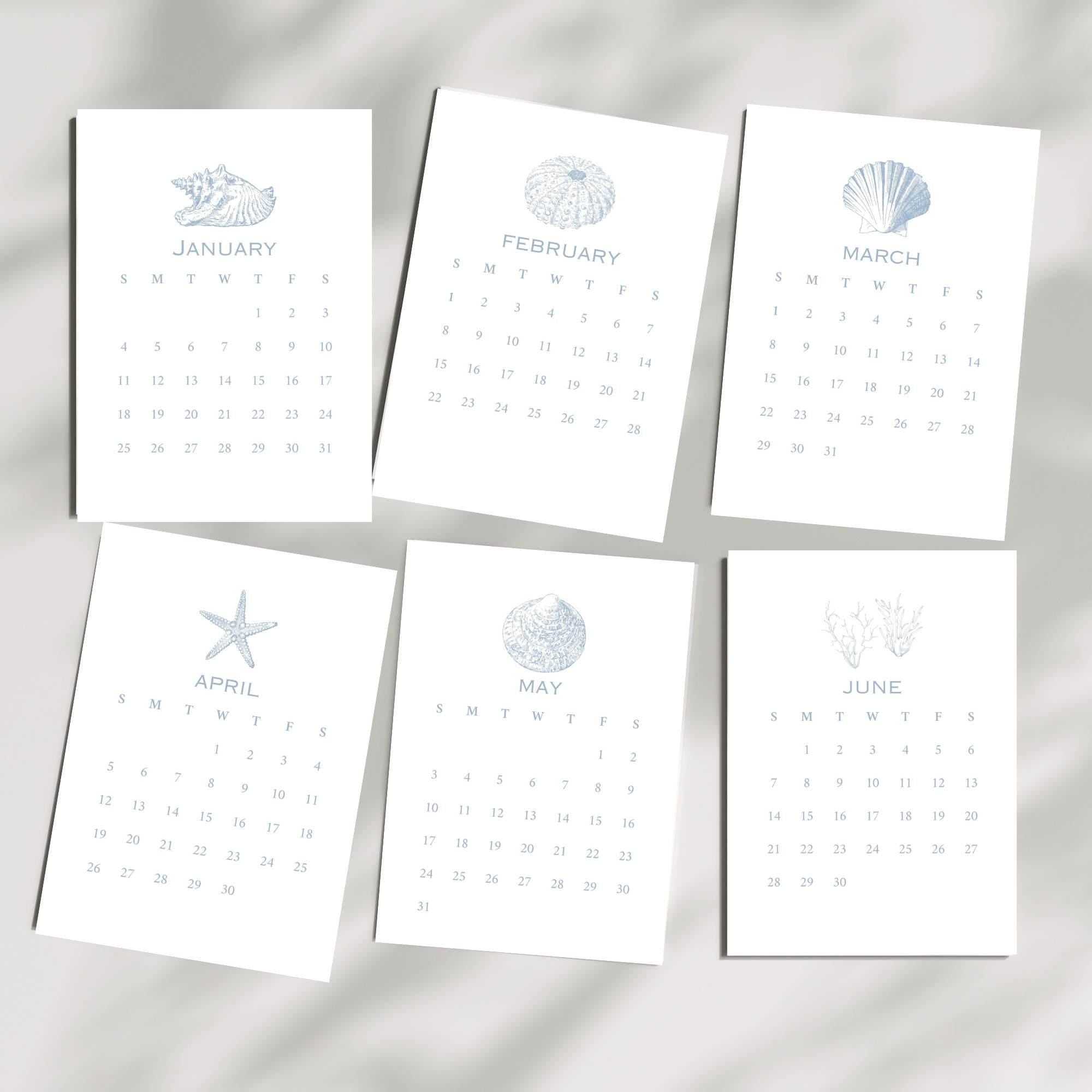 2026 Desktop Calendar, Beach Decor, Coastal Blue Shell Calendar, 5 x 7, Printed & Shipped