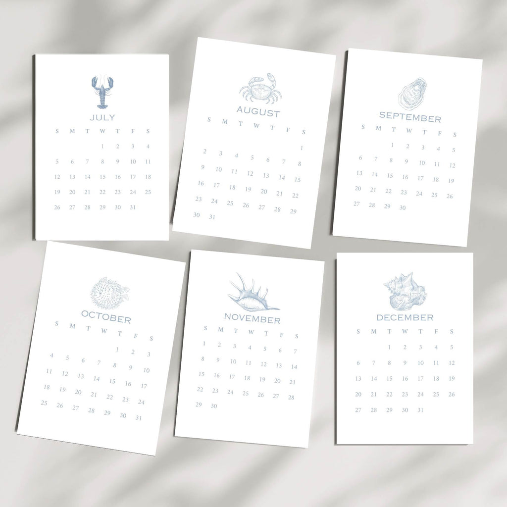 2026 Desktop Calendar, Beach Decor, Coastal Blue Shell Calendar, 5 x 7, Printed & Shipped