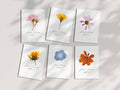 Pressed Flower Place Cards