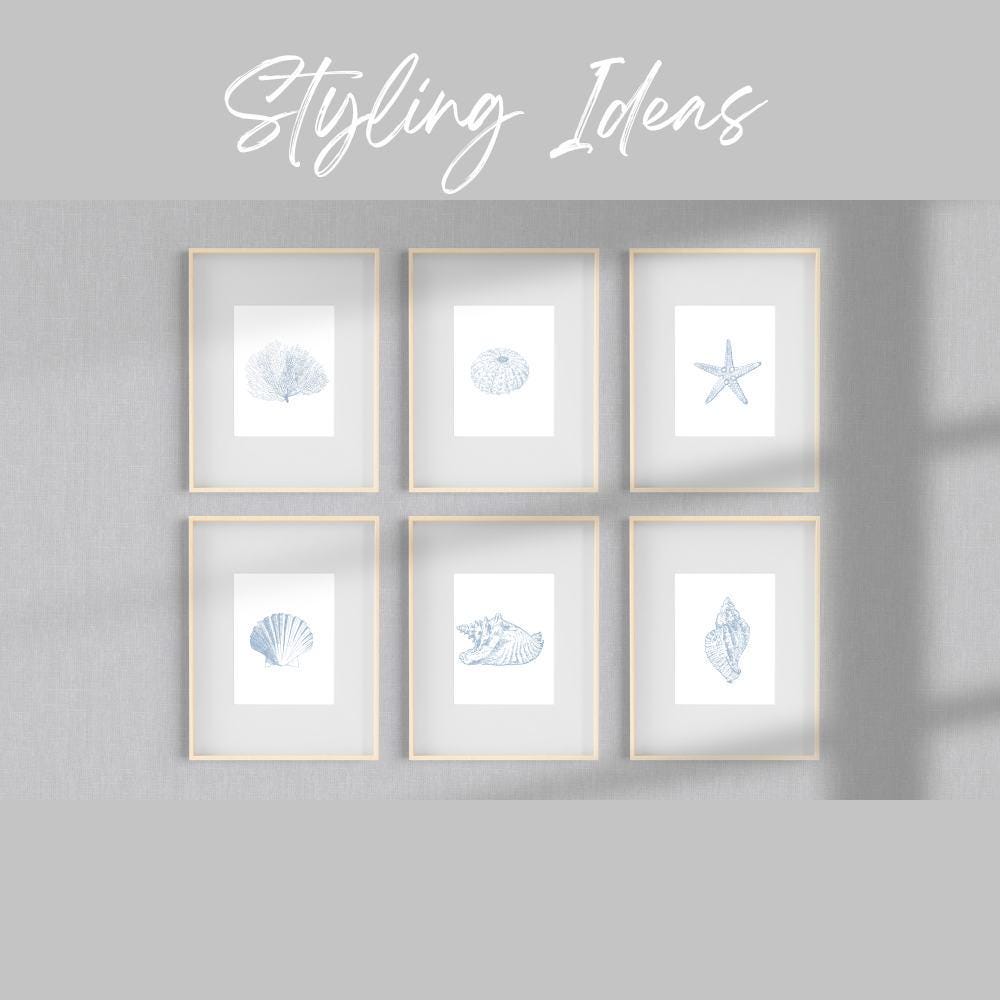 Blue Watercolor Seashell Prints: Coastal Minimalist Wall Art, 5 x 7 printed + shipped