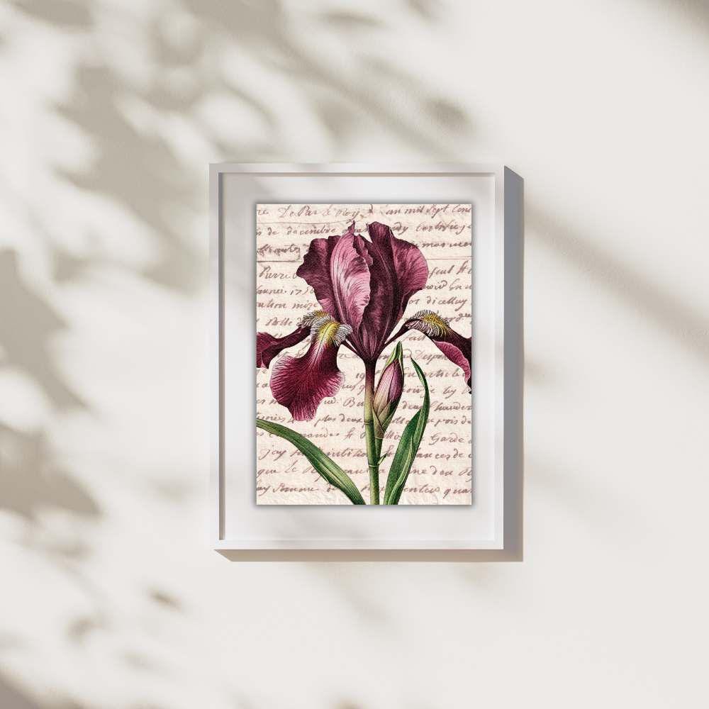 Vintage Botanical Prints Set: Iris, Tulip, Carnation - 5x7 (Set of 6) Printed + Shipped