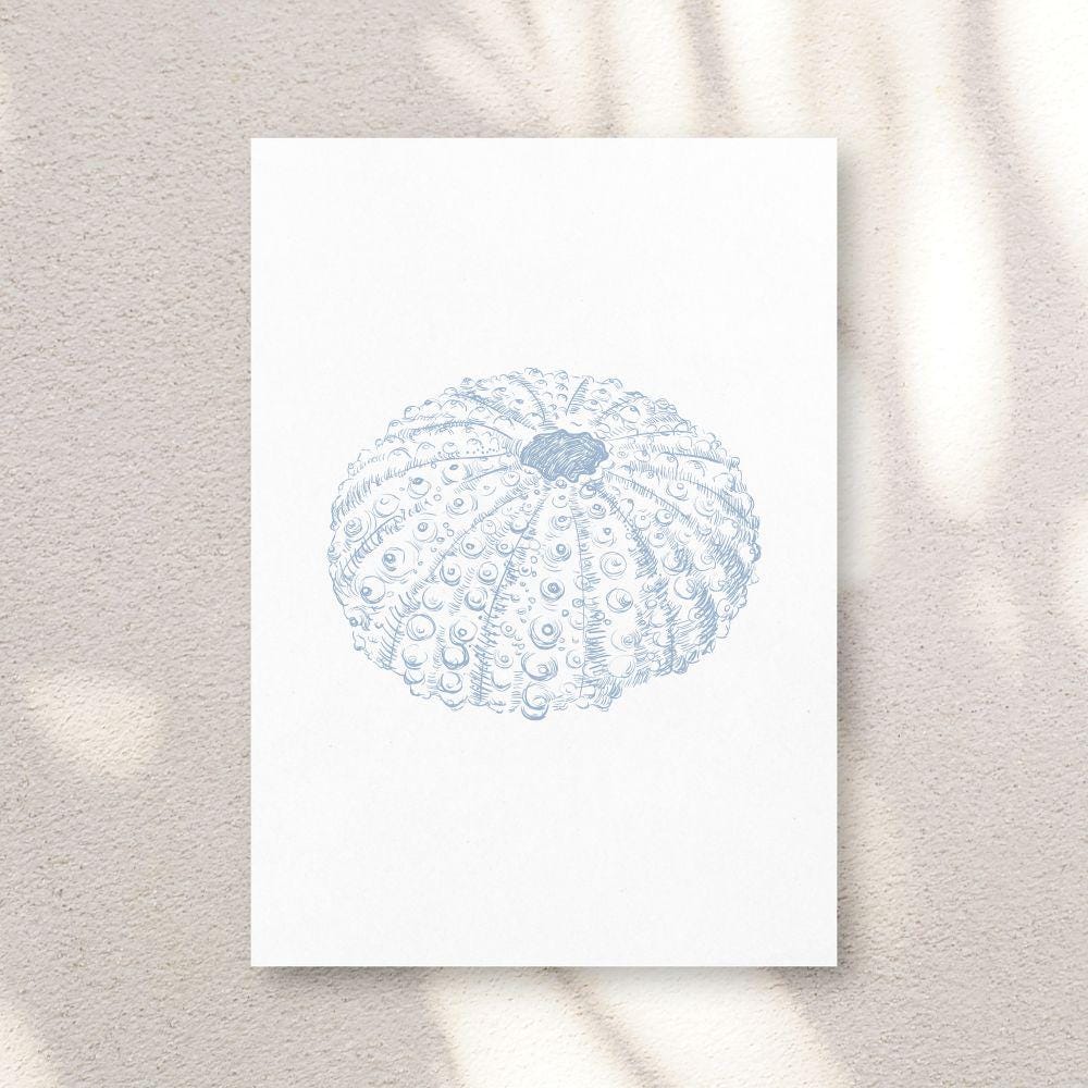 Blue Watercolor Seashell Prints: Coastal Minimalist Wall Art, 5 x 7 printed + shipped