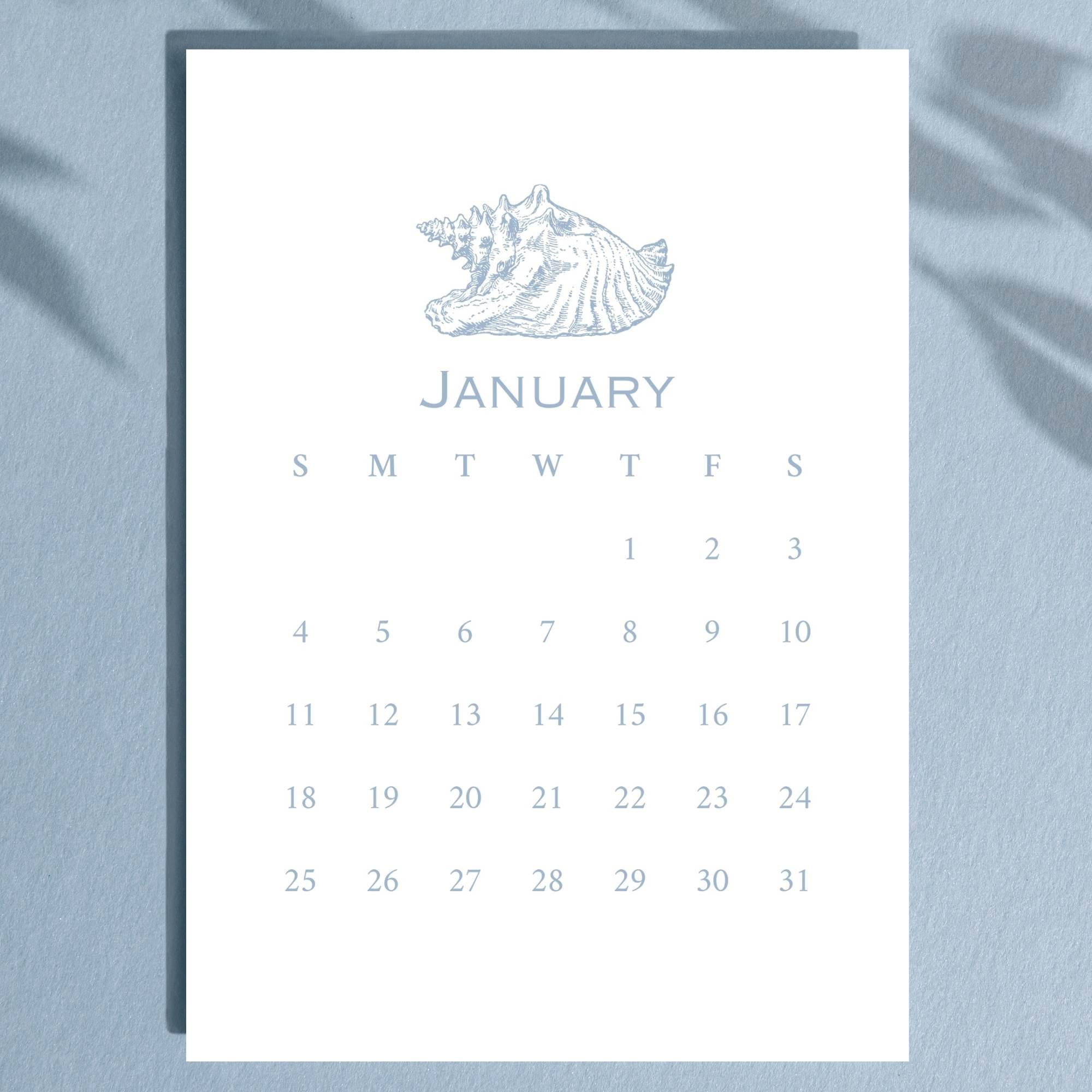 2026 Desktop Calendar, Beach Decor, Coastal Blue Shell Calendar, 5 x 7, Printed & Shipped