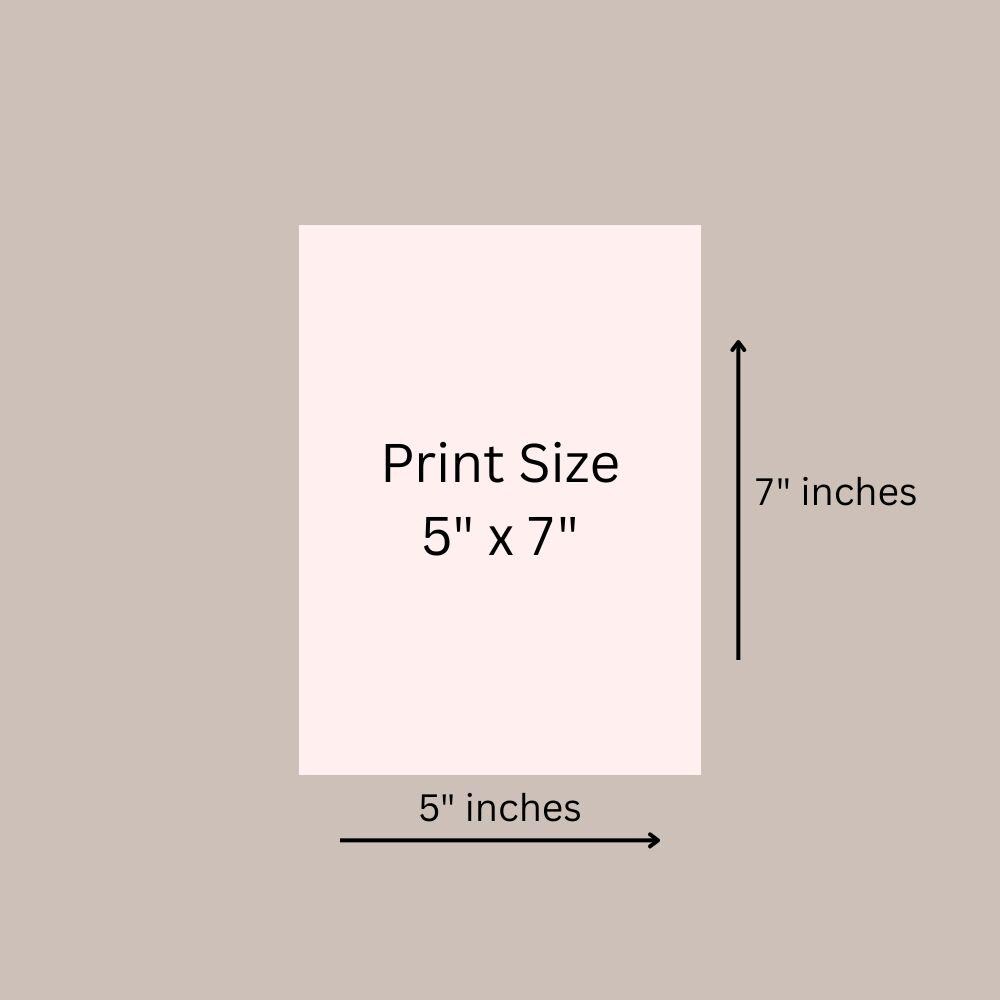 Vintage Botanical Prints Set: Iris, Tulip, Carnation - 5x7 (Set of 6) Printed + Shipped