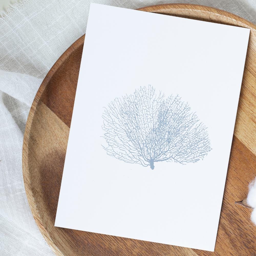 Blue Watercolor Seashell Prints: Coastal Minimalist Wall Art, 5 x 7 printed + shipped