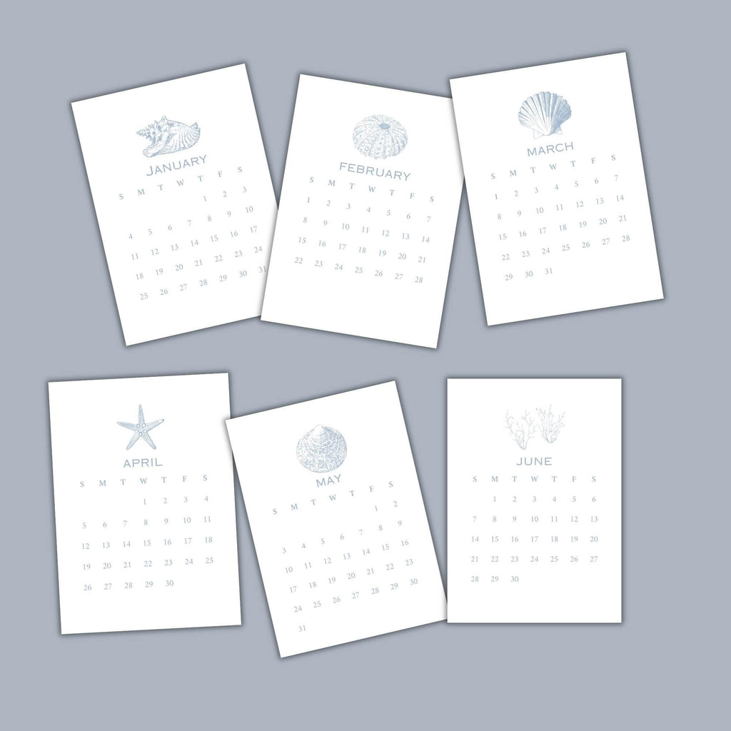 2026 Desktop Calendar, Beach Decor, Coastal Blue Shell Calendar, 5 x 7, Printed & Shipped