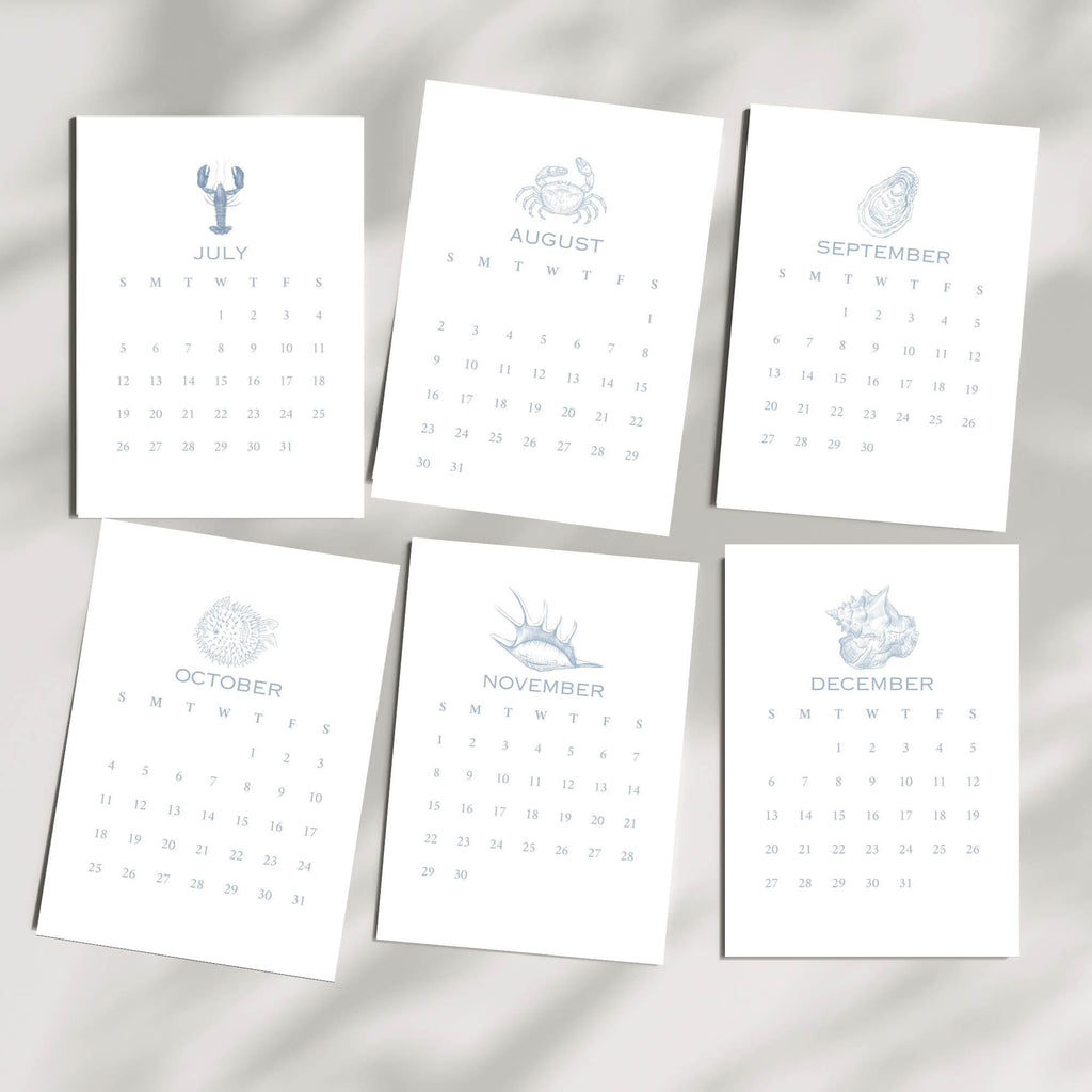 2026 Desktop Calendar, Beach Decor, Coastal Blue Shell Calendar, 5 x 7, Printed & Shipped