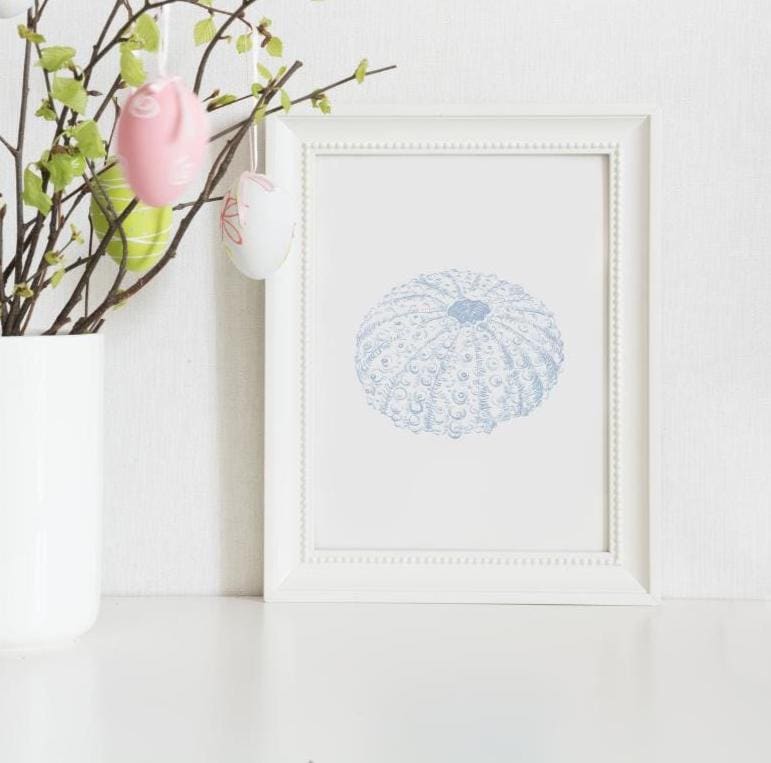 Blue Watercolor Seashell Prints: Coastal Minimalist Wall Art, 5 x 7 printed + shipped
