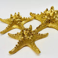 Gold Starfish Coastal Decor
