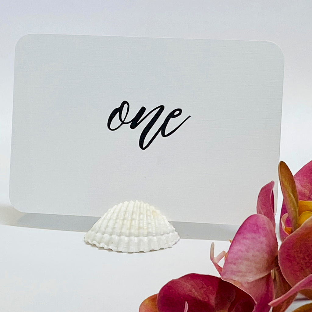 Beach Wedding White Shell Card Holders, Set of 10