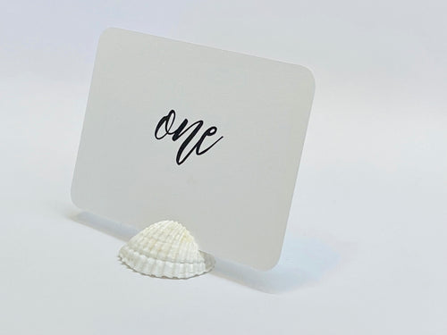 Beach Wedding White Shell Card Holders, Set of 10