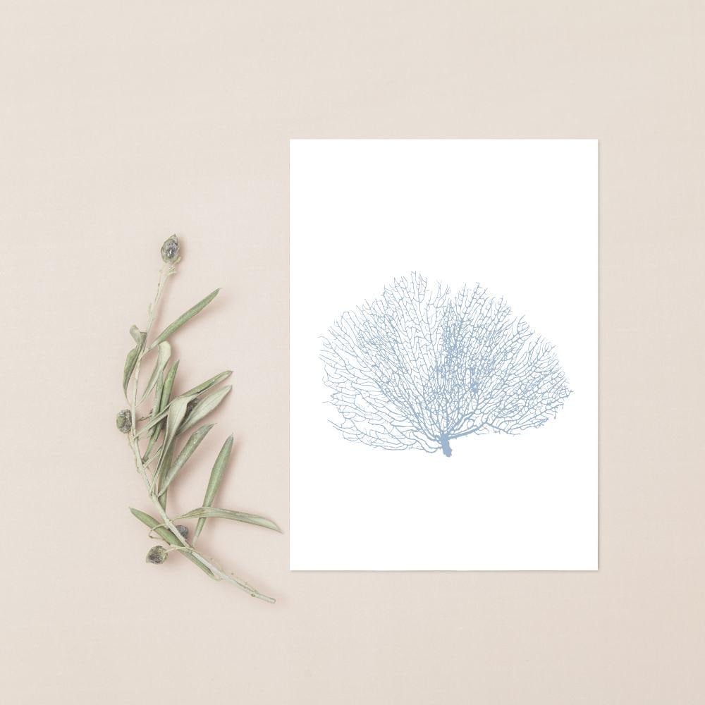 Blue Watercolor Seashell Prints: Coastal Minimalist Wall Art, 5 x 7 printed + shipped