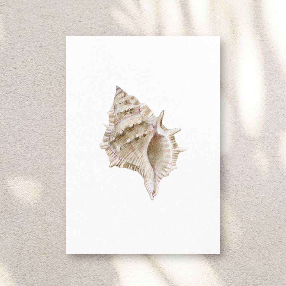 Beige Watercolor Seashell Prints: Coastal Minimalist Wall Art, 5 x 7 printed + shipped