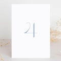 Dusty Blue Wedding Table Numbers