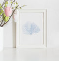 Blue Watercolor Seashell Prints: Coastal Minimalist Wall Art, 5 x 7 printed + shipped