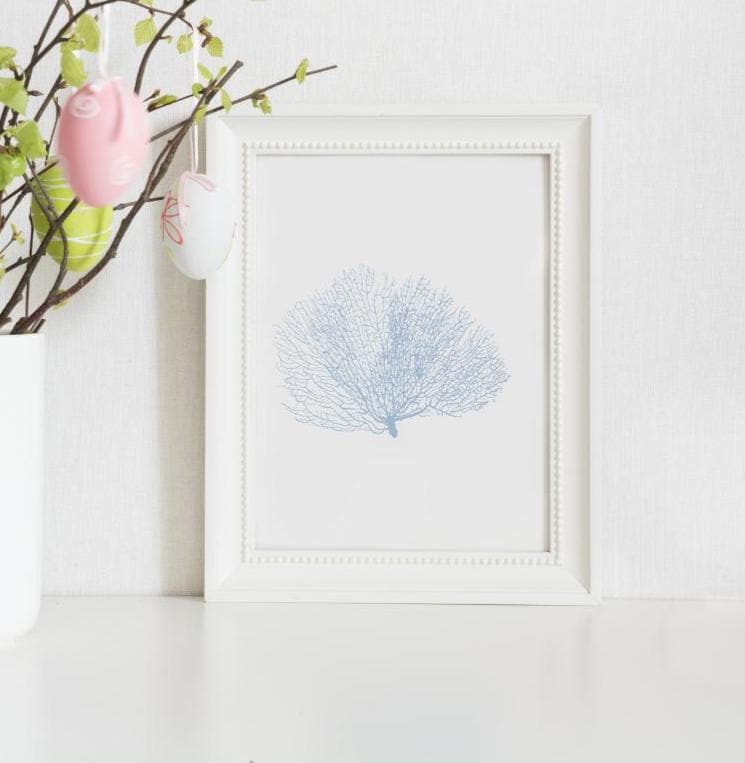 Blue Watercolor Seashell Prints: Coastal Minimalist Wall Art, 5 x 7 printed + shipped