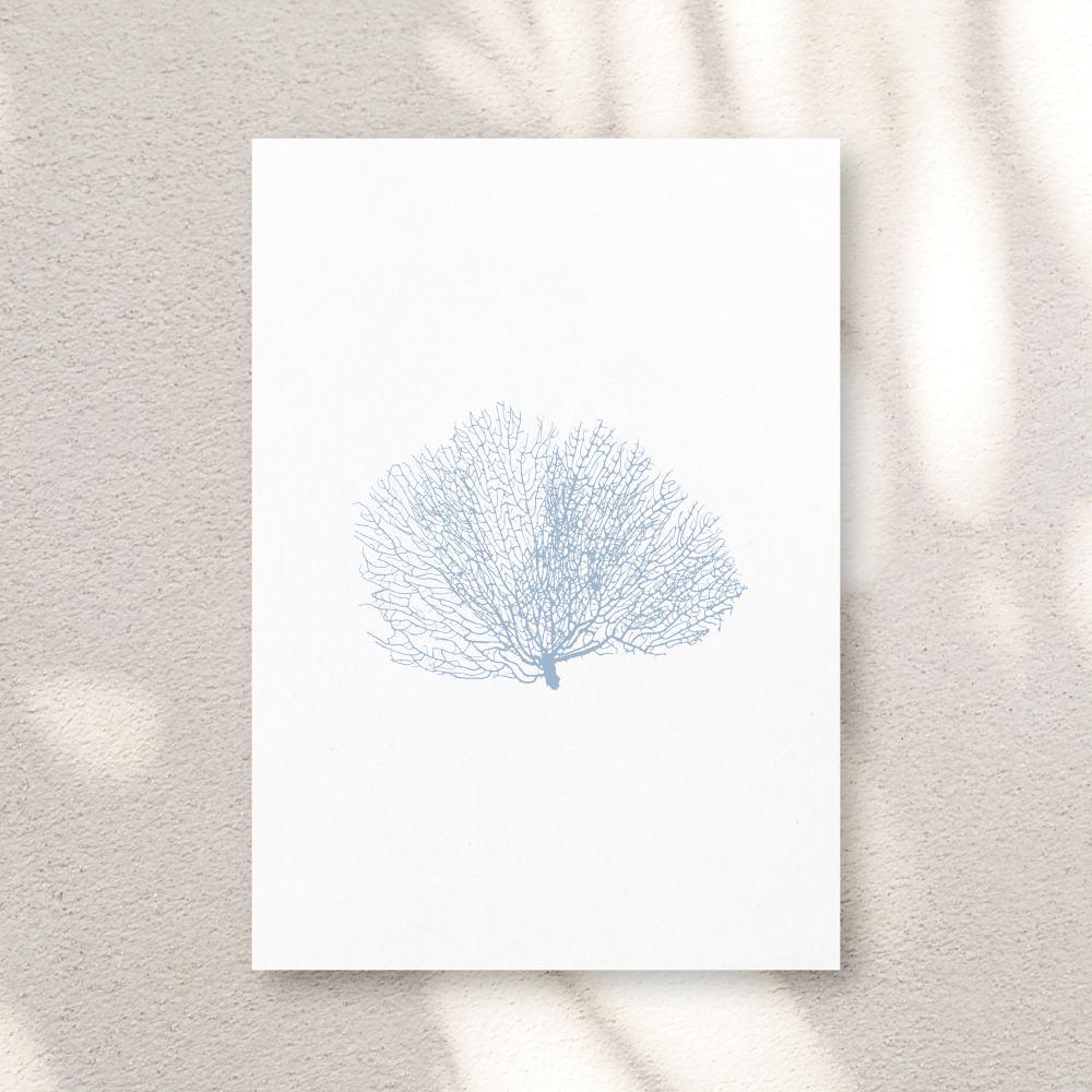 Blue Watercolor Seashell Prints: Coastal Minimalist Wall Art, 5 x 7 printed + shipped